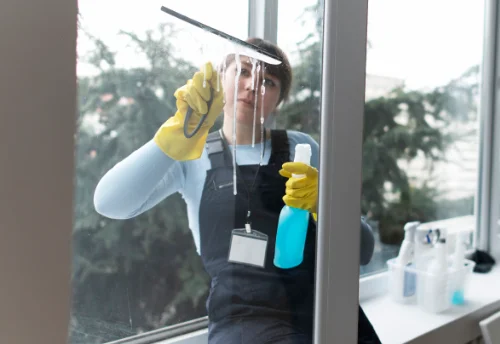 Nettoyage de vitres intérieures et extérieures à Frégouville